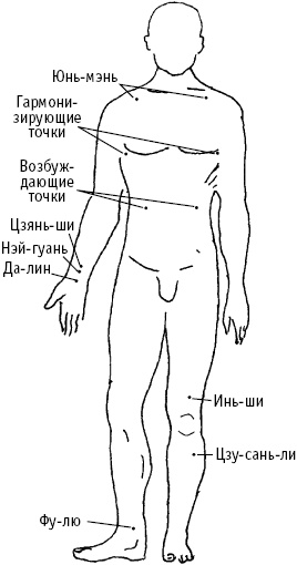 Большой атлас целительных точек. Китайская медицина на страже здоровья и долголетия