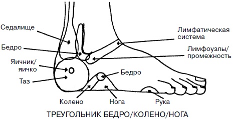 Целительные точки нашего тела. Практический атлас