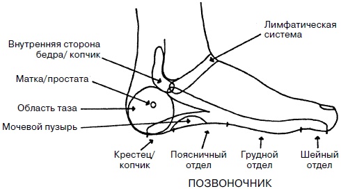 Целительные точки нашего тела. Практический атлас