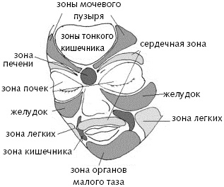 Китайский императорский массаж. Лечение 100 болезней с помощью банок. Большой атлас зон исцеления