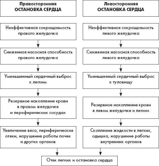 Скорая помощь. Руководство для фельдшеров и медсестер