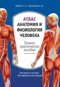 Атлас. Анатомия и физиология человека - Елена Зигалова