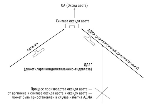 Супер сердце. Революционное исследование о связи сердечно-сосудистой системы и питания