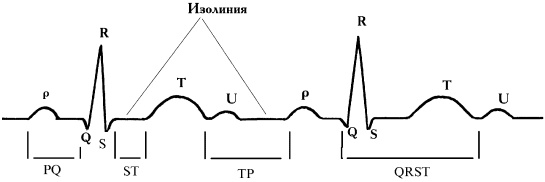 Полный медицинский справочник фельдшера