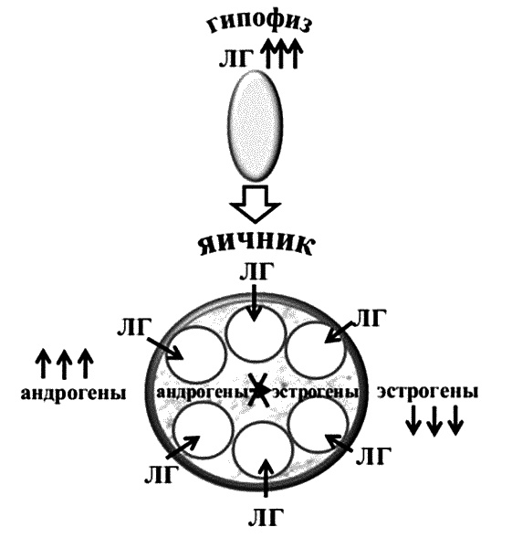 Бесплодие – не приговор!