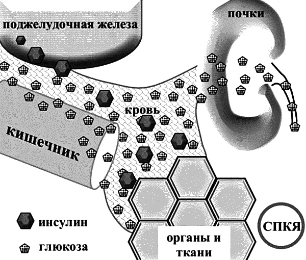 Бесплодие – не приговор!