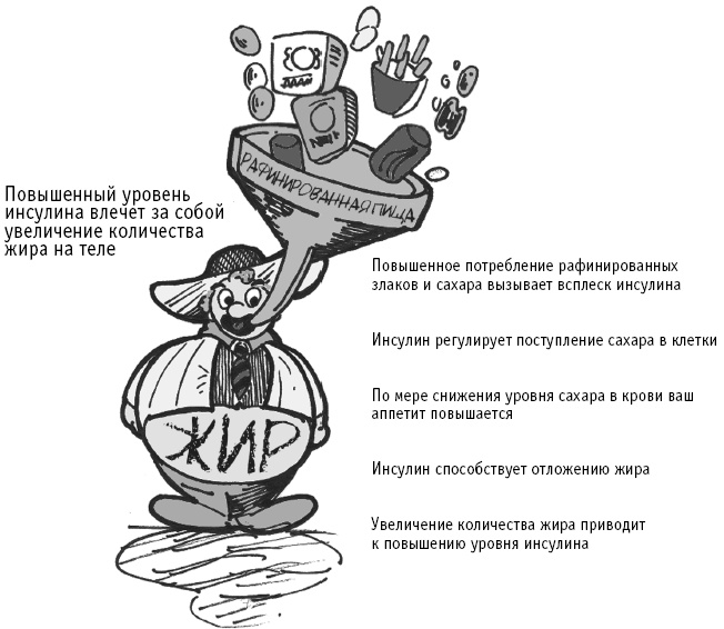 Питание как основа здоровья. Самый простой и естественный способ за 6 недель восстановить силы организма и сбросить лишний вес