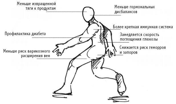 Питание как основа здоровья. Самый простой и естественный способ за 6 недель восстановить силы организма и сбросить лишний вес