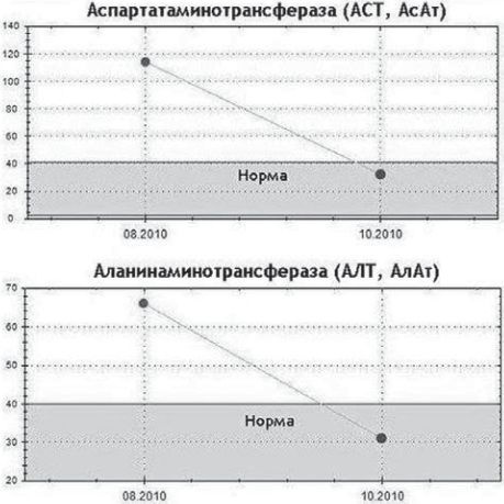 Сыроедение против предрассудков. Эволюция в питании человека