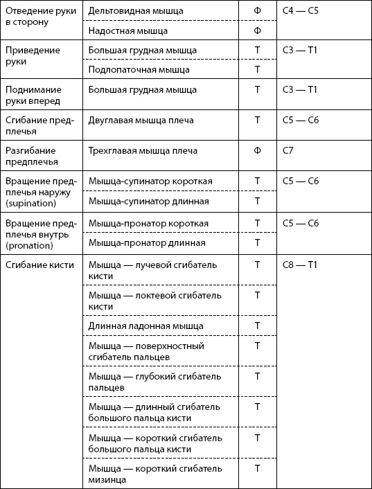 Скульптурная гимнастика для мышц, суставов и внутренних органов