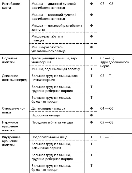 Скульптурная гимнастика для мышц, суставов и внутренних органов