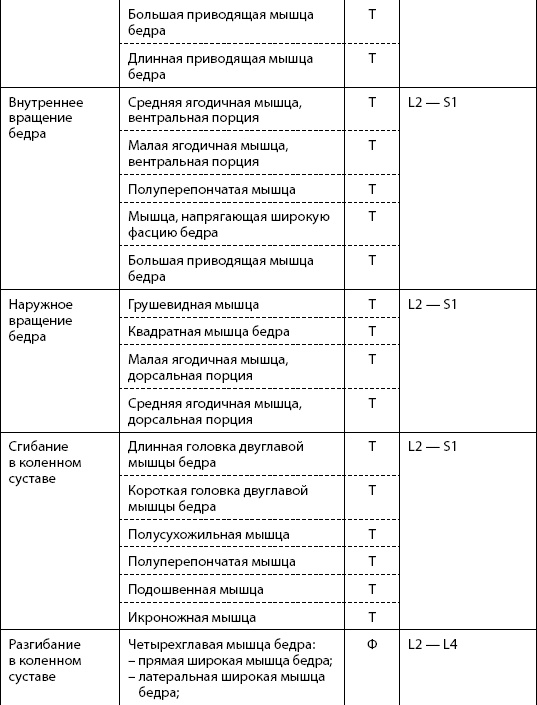 Скульптурная гимнастика для мышц, суставов и внутренних органов