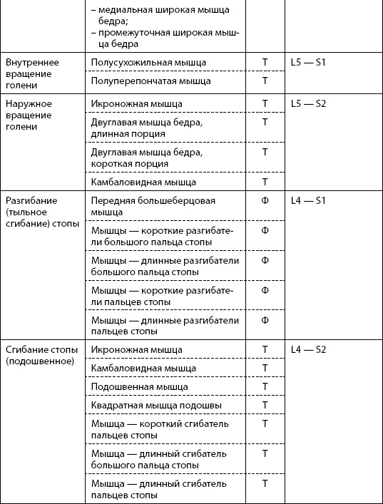 Скульптурная гимнастика для мышц, суставов и внутренних органов