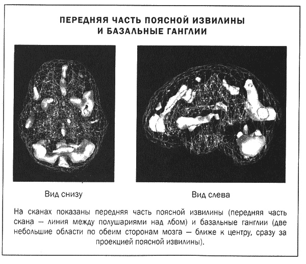 Мозг и душа. Новые открытия о влиянии мозга на характер, чувства, эмоции