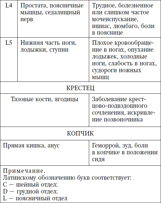 Жизнь без боли в пояснице