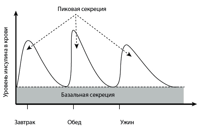 Сахарный диабет. 500 ответов на самые важные вопросы