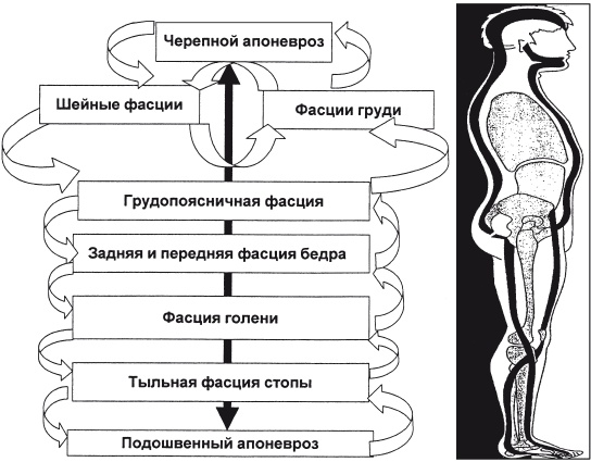 Массаж и лечебная физкультура