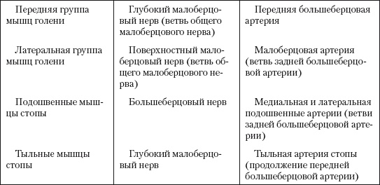 Атлас профессионального массажа