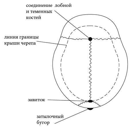 Экстренная помощь при травмах, болевых шоках и воспалениях. Опыт работы в чрезвычайных ситуациях