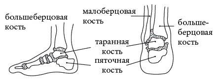 Экстренная помощь при травмах, болевых шоках и воспалениях. Опыт работы в чрезвычайных ситуациях