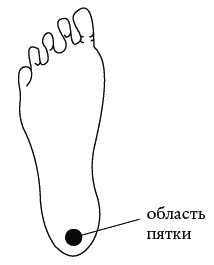 Экстренная помощь при травмах, болевых шоках и воспалениях. Опыт работы в чрезвычайных ситуациях