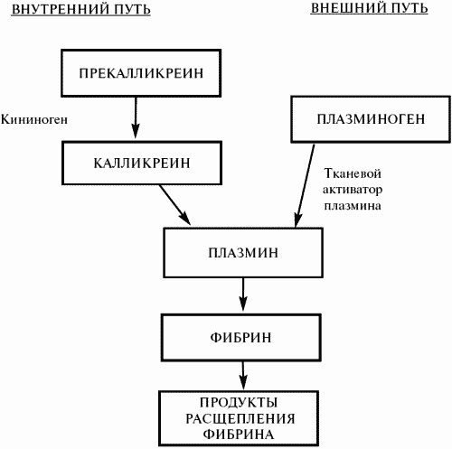 Заболевания крови. Полный справочник