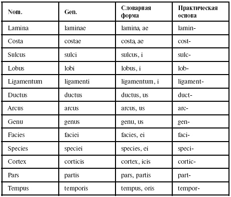 Латинский язык для медиков. Конспект лекций