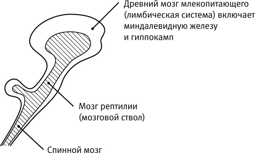 Легкий способ начать новую жизнь. Как избавиться от стресса, внутренних конфликтов и вредных привычек