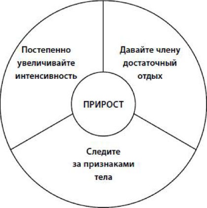 Упражнения для увеличения пениса