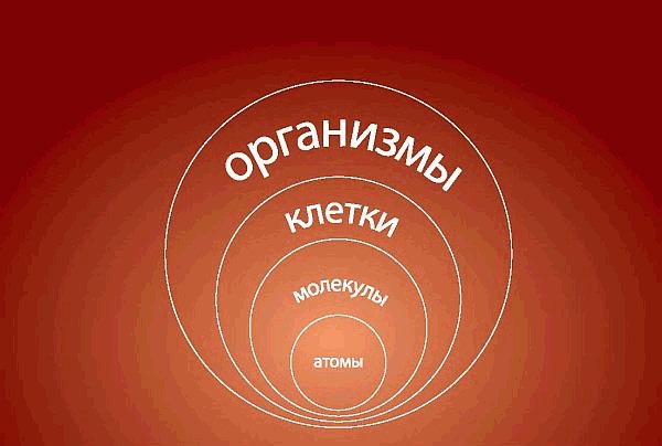 Интегральное видение. Краткое введение в революционный интегральный подход к жизни, Богу, вселенной и всему остальному