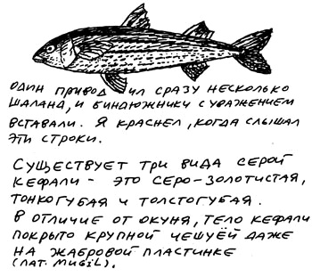 Заметки пассажира. 24 вагона с комментариями и рисунками автора