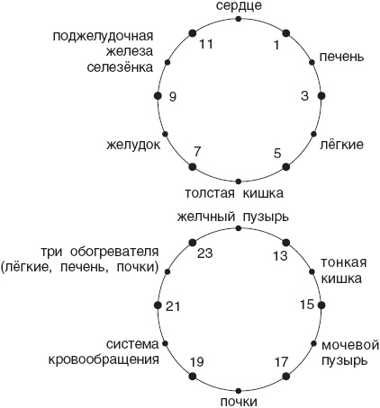 Китайские чудо-методики. Как жить долго и быть здоровым!