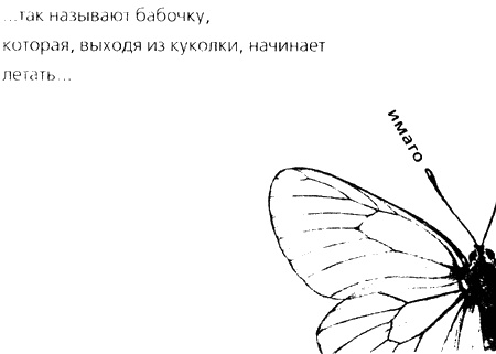 Когда я стану кошкой. Ева вне рая и ада