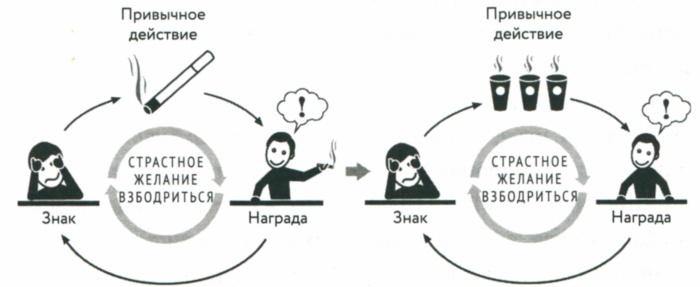 Сила привычки. Почему мы живем и работаем именно так, а не иначе