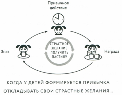 Сила привычки. Почему мы живем и работаем именно так, а не иначе