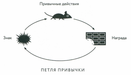 Сила привычки. Почему мы живем и работаем именно так, а не иначе