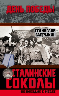 Сталинские соколы. Возмездие с небес - Станислав Сапрыкин