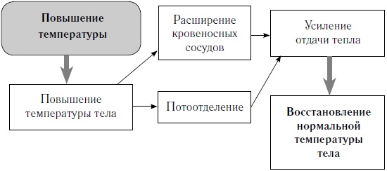 Как оставаться молодым и жить долго