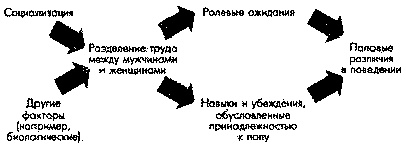 Социальная психология: Интенсивный курс