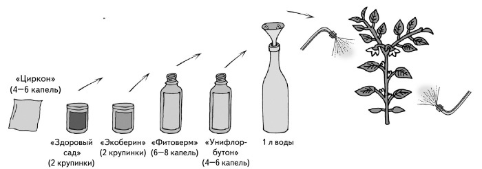 Иллюстрированная энциклопедия огородника для новичков