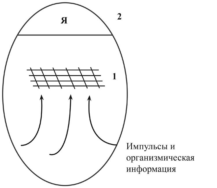 Проект "Человек"