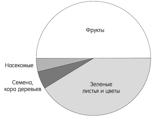 Зелень для жизни. Реальная история оздоровления