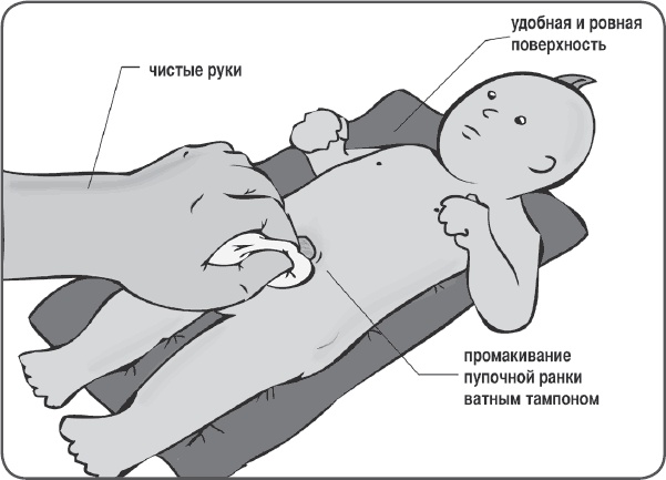 Папа-спецназ. Миссия выполнима. Краткий курс молодого отца