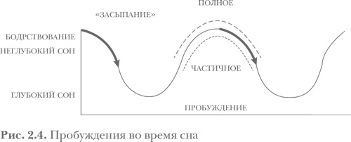 Здоровый сон — счастливый ребенок