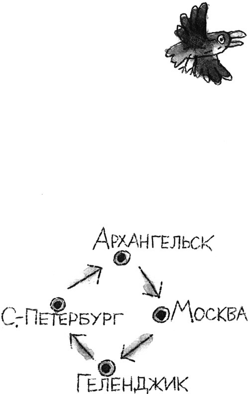 Запуск разрешаю!