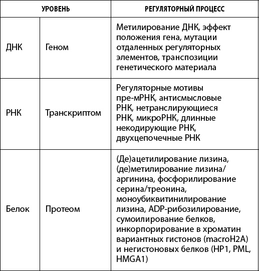 Как победить свой возраст? 8 уникальных способов, которые помогут достичь долголетия