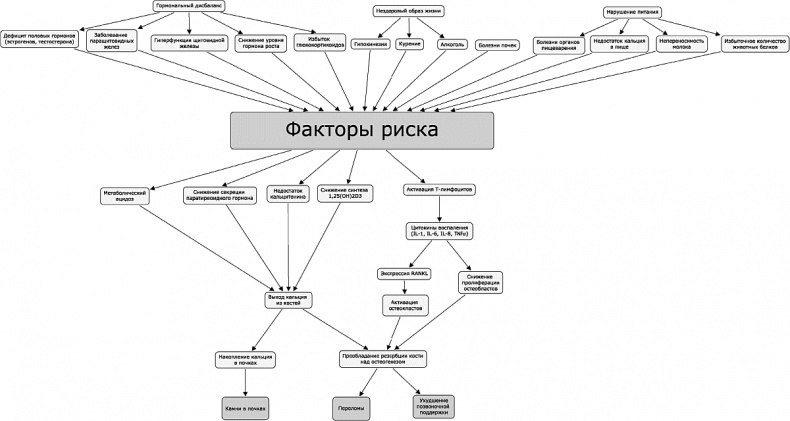 Как победить свой возраст? 8 уникальных способов, которые помогут достичь долголетия