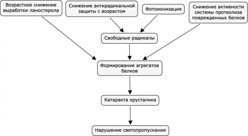 Как победить свой возраст? 8 уникальных способов, которые помогут достичь долголетия