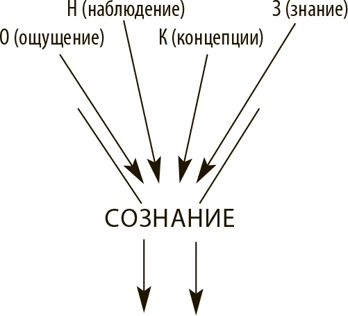 Внимательный мозг. Научный взгляд на медитацию