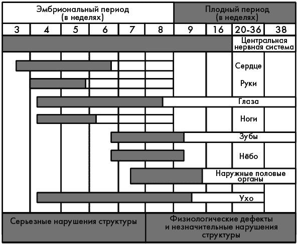 Первый год жизни решает все! 365 секретов правильного развития. Этот удивительный младенец